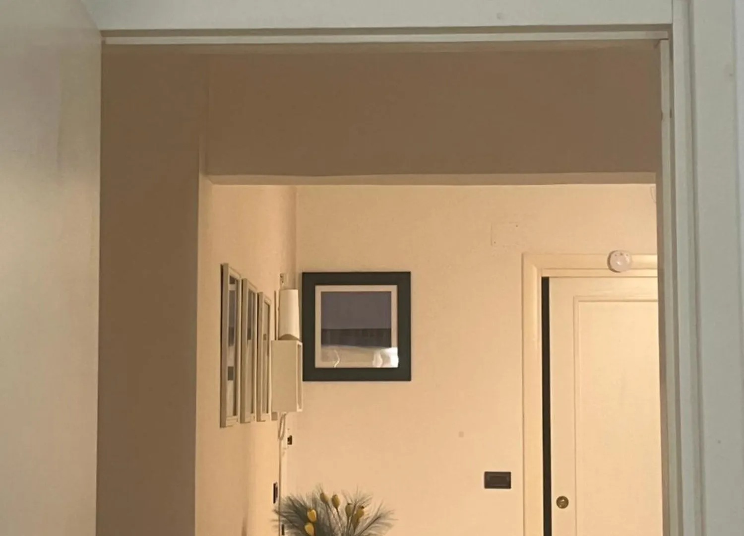 Casa Paloma Apartment Sanremo Italy
